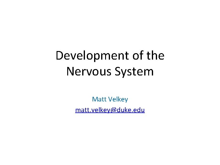 Development of the Nervous System Matt Velkey matt. velkey@duke. edu 