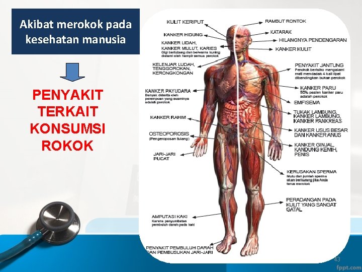 Akibat merokok pada kesehatan manusia PENYAKIT TERKAIT KONSUMSI ROKOK 43 