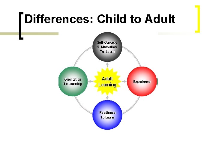 Differences: Child to Adult 