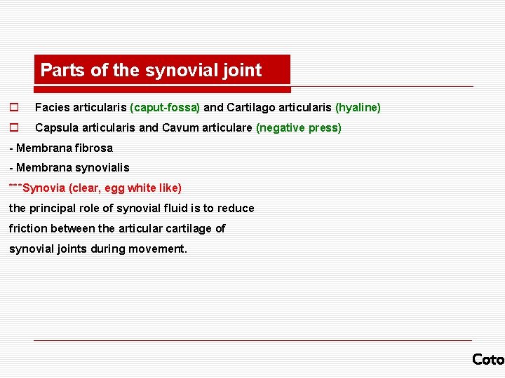 Parts of the synovial joint o Facies articularis (caput-fossa) and Cartilago articularis (hyaline) o Parts of the synovial joint o Facies articularis (caput-fossa) and Cartilago articularis (hyaline) o