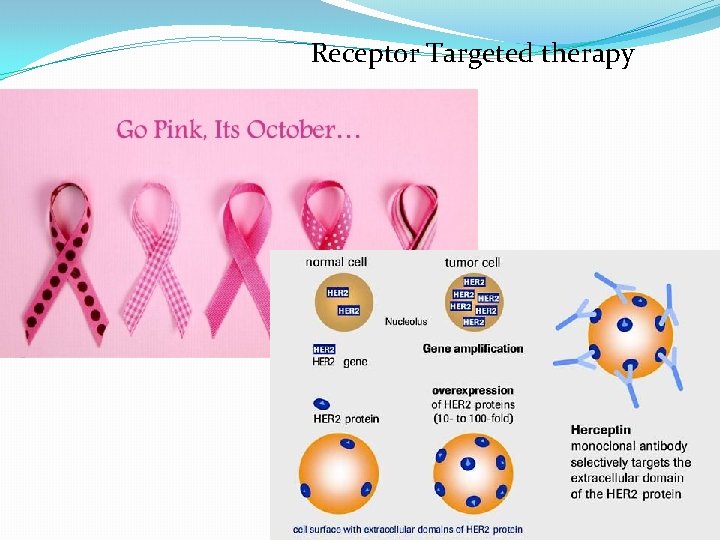 Receptor Targeted therapy 