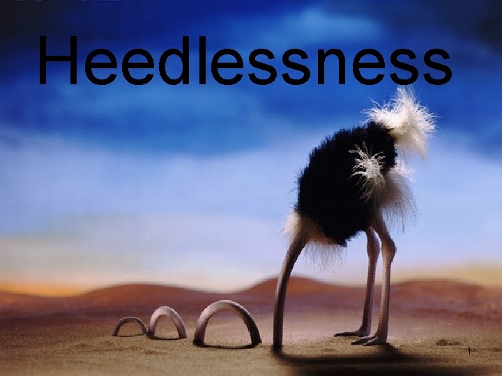 Heedlessness 1 