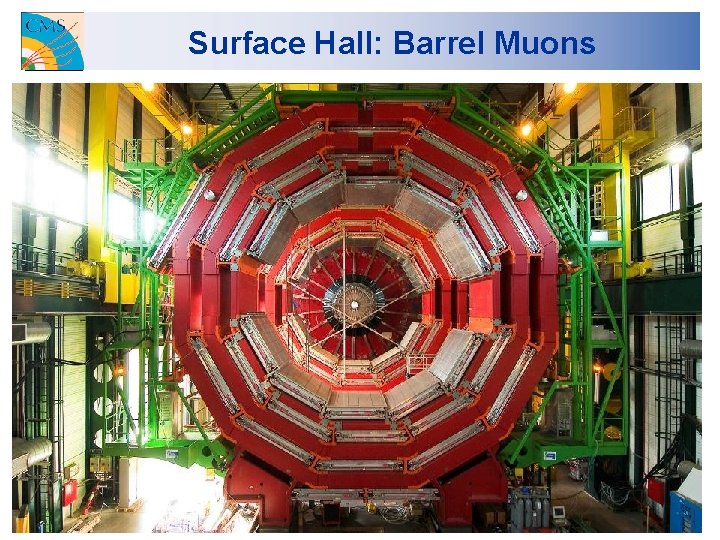 Surface Hall: Barrel Muons 