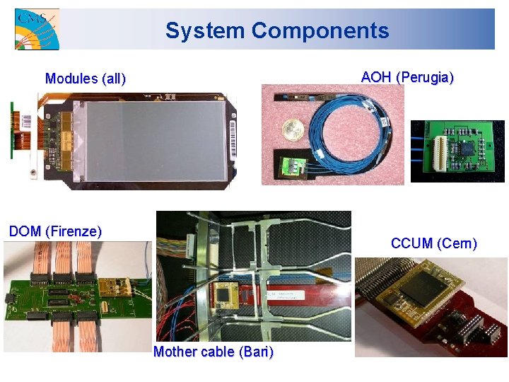 System Components AOH (Perugia) Modules (all) DOM (Firenze) CCUM (Cern) Mother cable (Bari) 