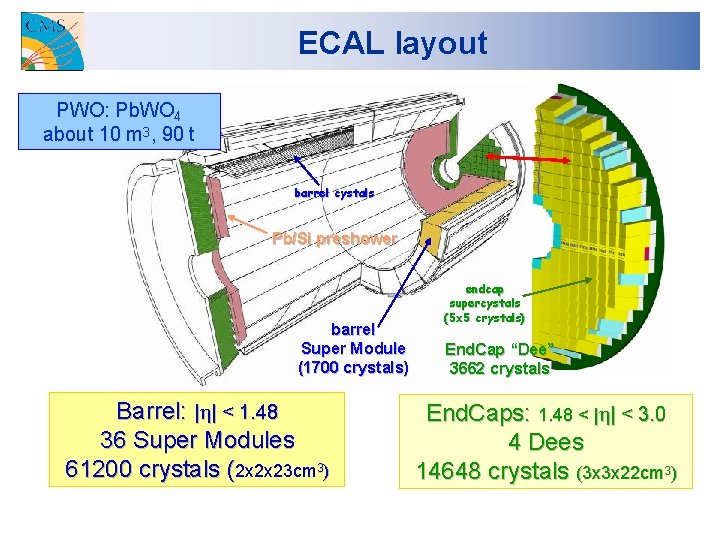 ECAL layout PWO: Pb. WO 4 about 10 m 3, 90 t barrel cystals