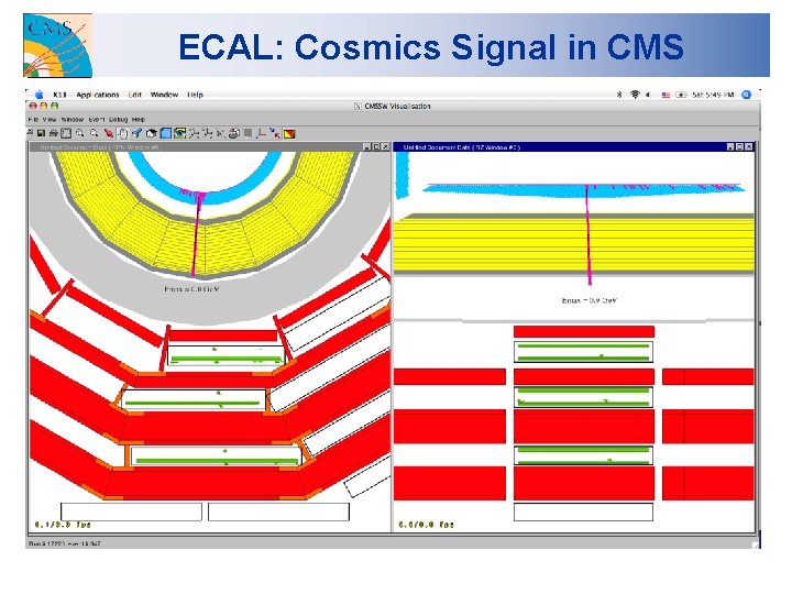 ECAL: Cosmics Signal in CMS 