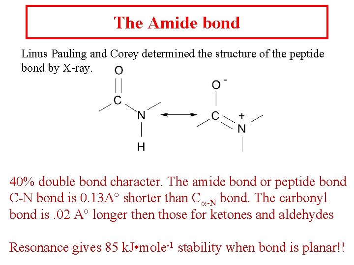 The Amide bond Linus Pauling and Corey determined the structure of the peptide bond