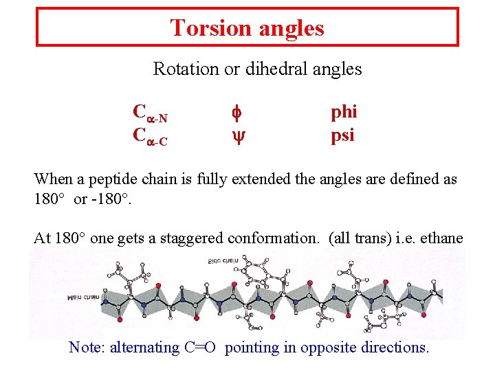 Torsion angles Rotation or dihedral angles C -N C -C phi psi When a