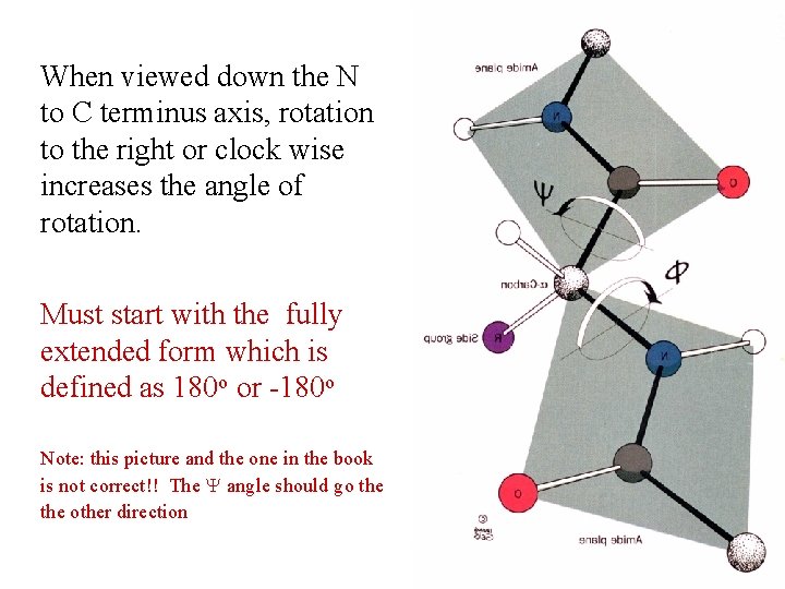 When viewed down the N to C terminus axis, rotation to the right or