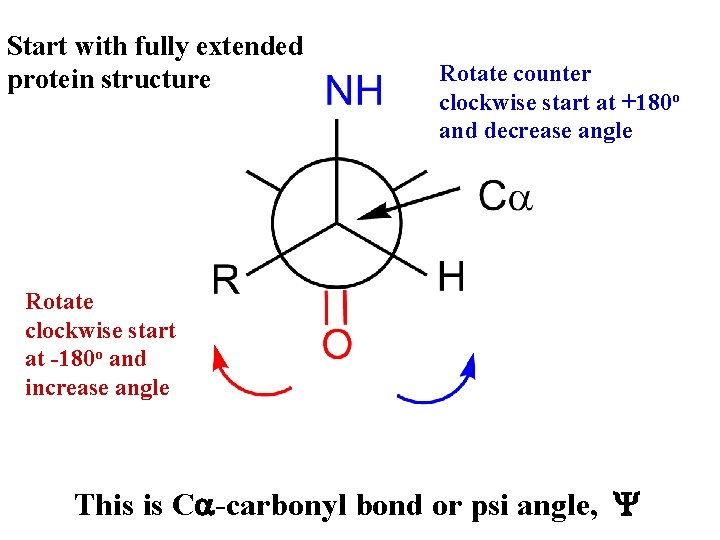 Start with fully extended protein structure Rotate counter clockwise start at +180 o and