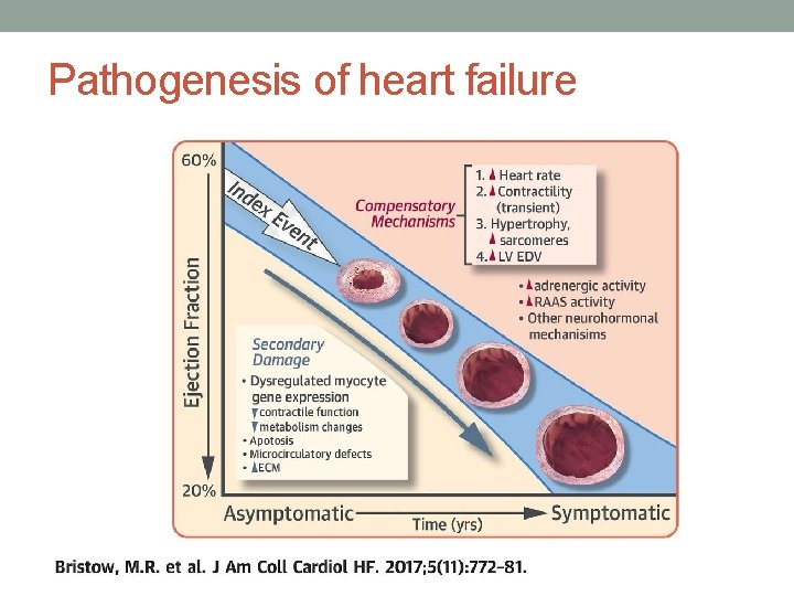 Pathogenesis of heart failure 