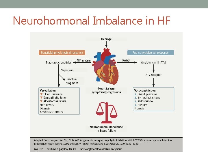 Neurohormonal Imbalance in HF 