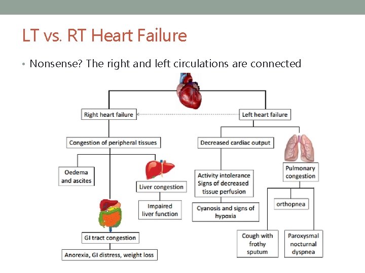 LT vs. RT Heart Failure • Nonsense? The right and left circulations are connected