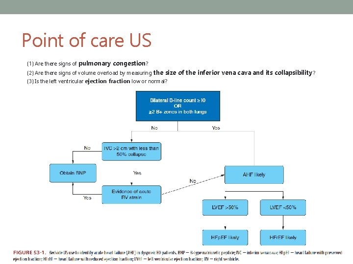 Point of care US (1) Are there signs of pulmonary congestion? (2) Are there