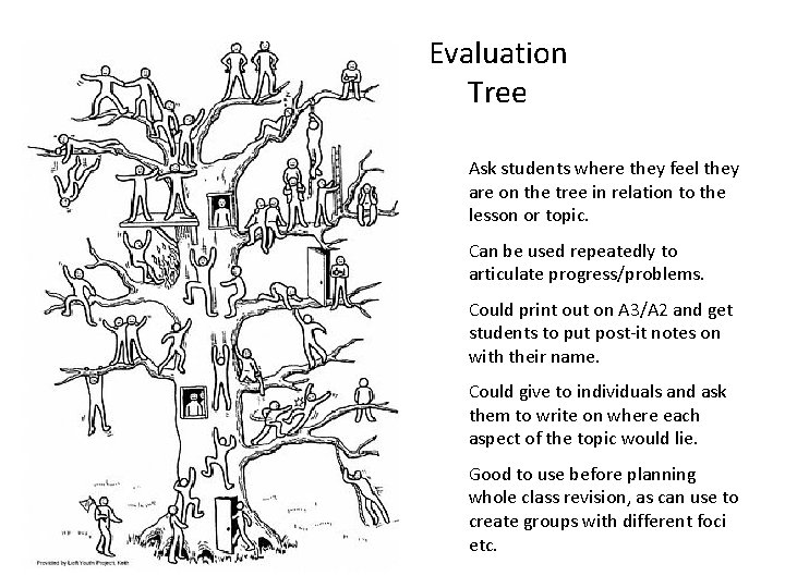 Evaluation Tree Ask students where they feel they are on the tree in relation