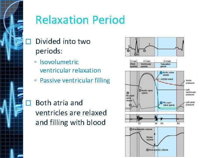 Relaxation Period � Divided into two periods: ◦ Isovolumetric ventricular relaxation ◦ Passive ventricular