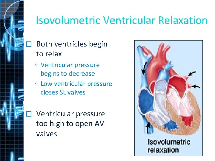 Isovolumetric Ventricular Relaxation � Both ventricles begin to relax ◦ Ventricular pressure begins to