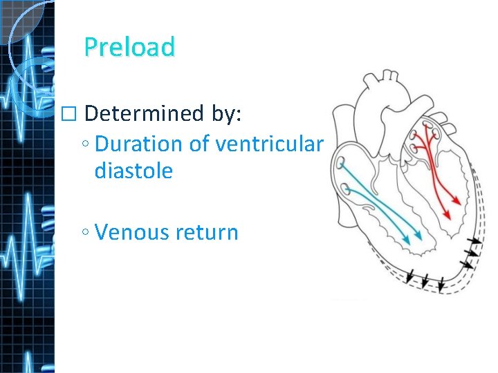 Preload � Determined by: ◦ Duration of ventricular diastole ◦ Venous return 