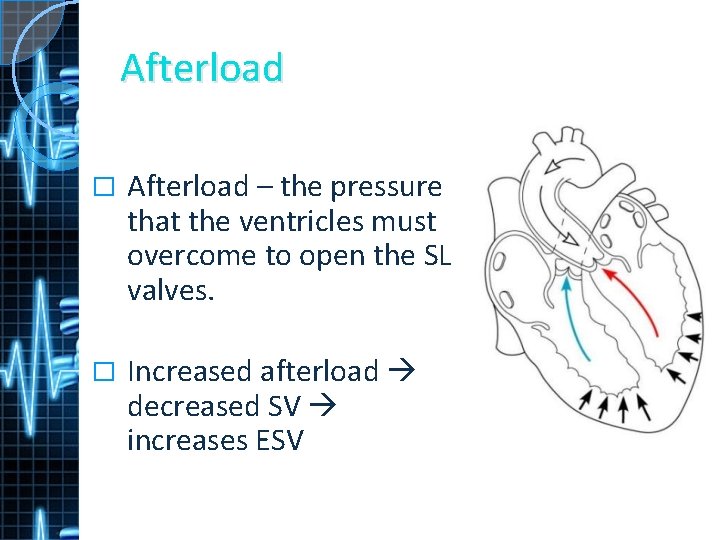 Afterload � Afterload – the pressure that the ventricles must overcome to open the
