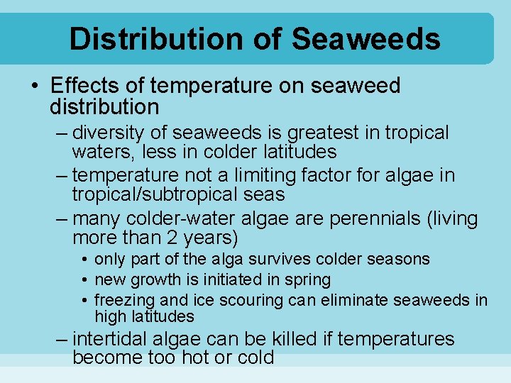 Distribution of Seaweeds • Effects of temperature on seaweed distribution – diversity of seaweeds