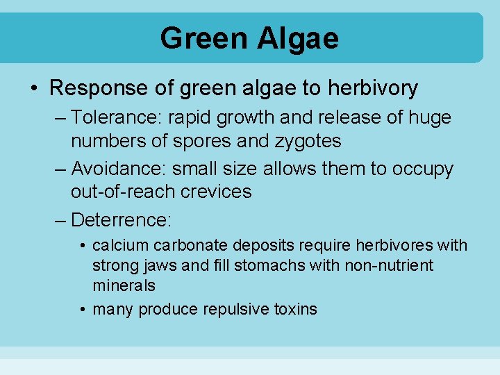 Green Algae • Response of green algae to herbivory – Tolerance: rapid growth and