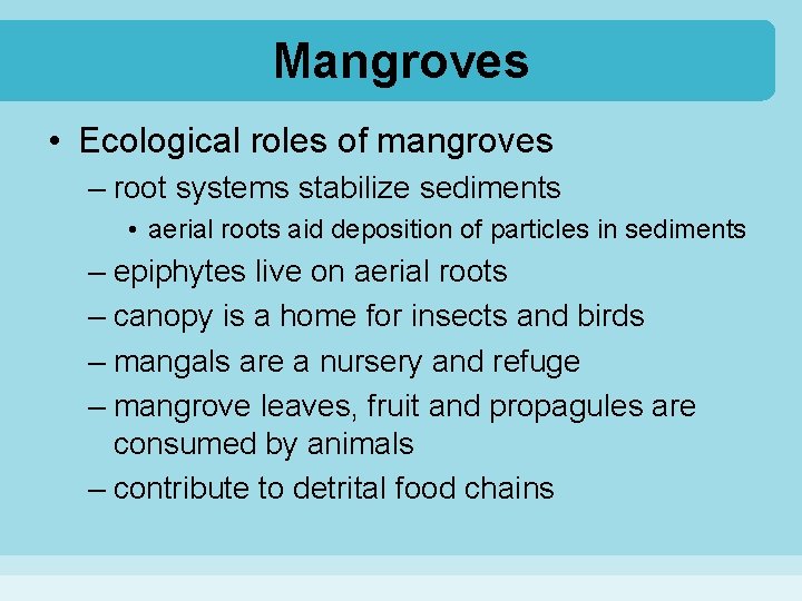 Mangroves • Ecological roles of mangroves – root systems stabilize sediments • aerial roots