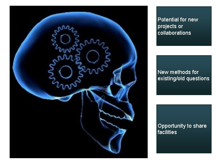 Potential for new projects or collaborations New methods for existing/old questions Opportunity to share Potential for new projects or collaborations New methods for existing/old questions Opportunity to share