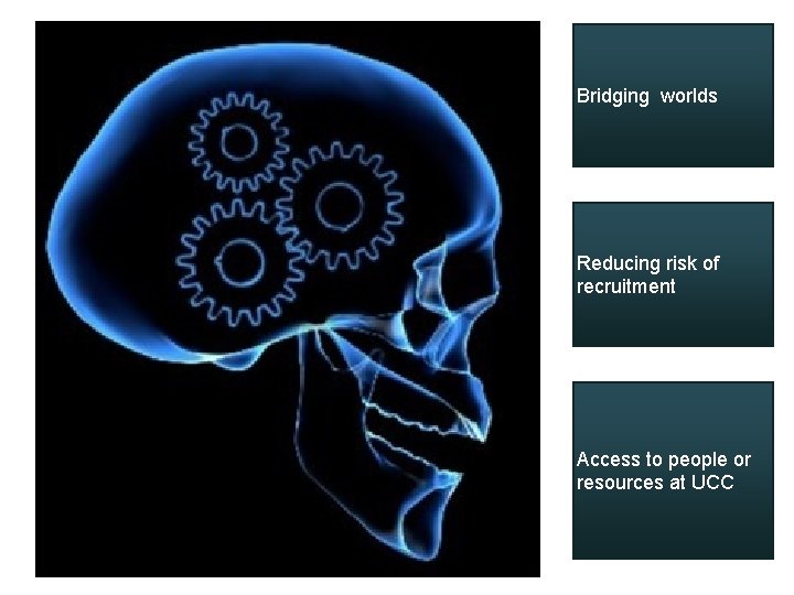 Bridging worlds Reducing risk of recruitment Access to people or resources at UCC Bridging worlds Reducing risk of recruitment Access to people or resources at UCC
