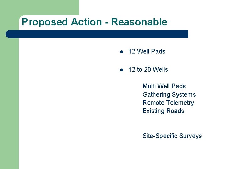 Proposed Action - Reasonable l 12 Well Pads l 12 to 20 Wells Multi