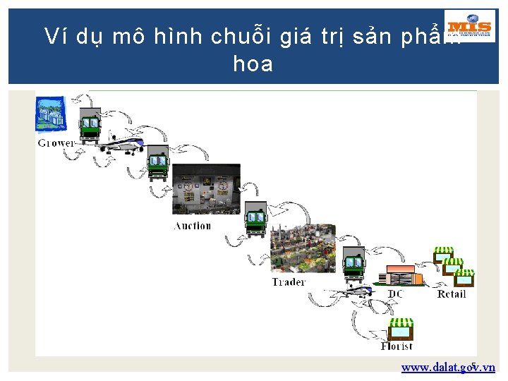 Ví dụ mô hình chuỗi giá trị sản phẩm hoa 5 www. dalat. gov.