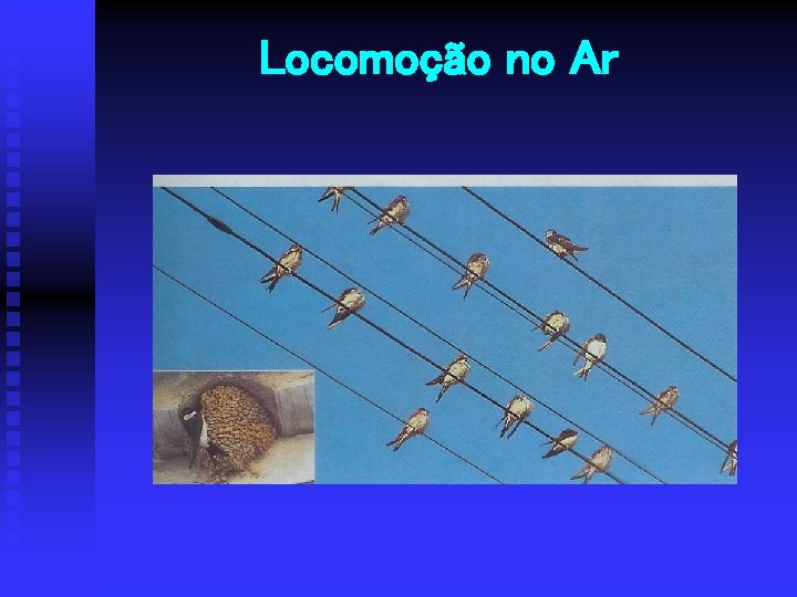 Locomoção no Ar 