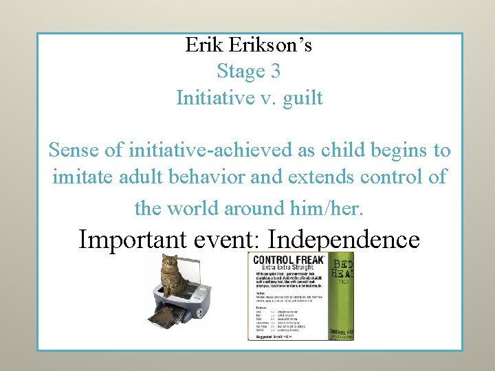 Erikson’s Stage 3 Initiative v. guilt Sense of initiative-achieved as child begins to imitate