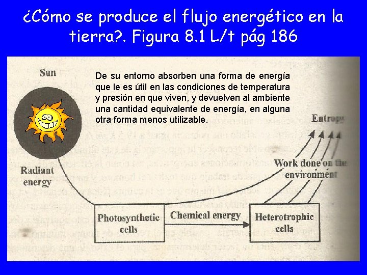 ¿Cómo se produce el flujo energético en la tierra? . Figura 8. 1 L/t