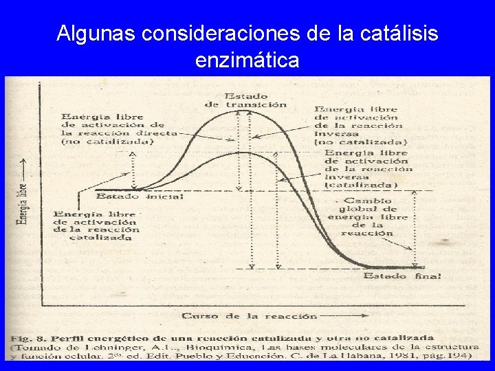 Algunas consideraciones de la catálisis enzimática 