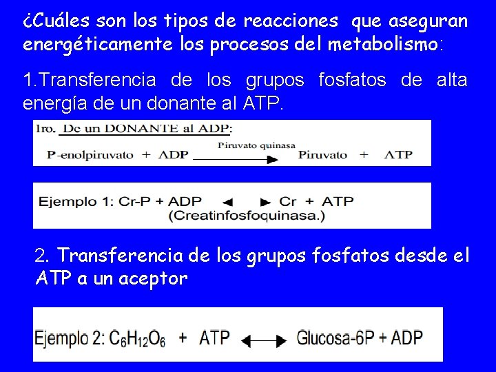 ¿Cuáles son los tipos de reacciones que aseguran energéticamente los procesos del metabolismo: 1.