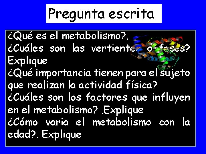 Pregunta escrita ¿Qué es el metabolismo? . ¿Cuáles son las vertientes o fases? Explique