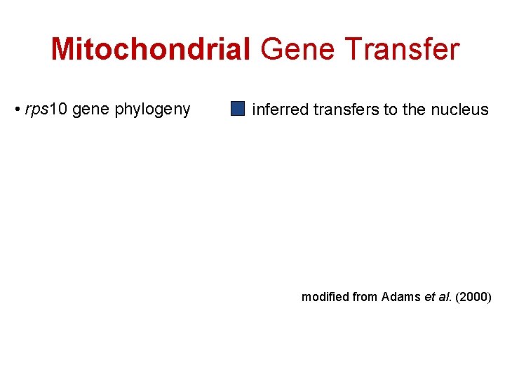 Mitochondrial Gene Transfer • rps 10 gene phylogeny inferred transfers to the nucleus modified