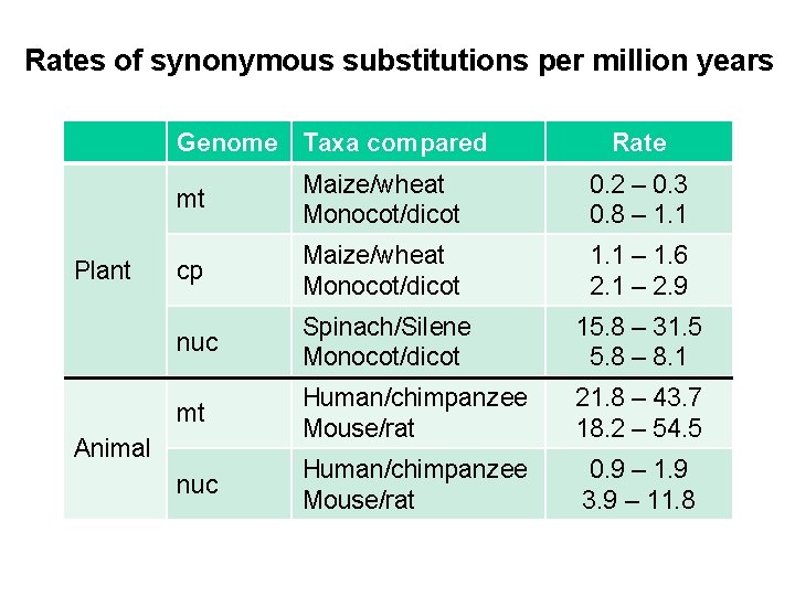 Rates of synonymous substitutions per million years Genome Taxa compared Plant Rate mt Maize/wheat