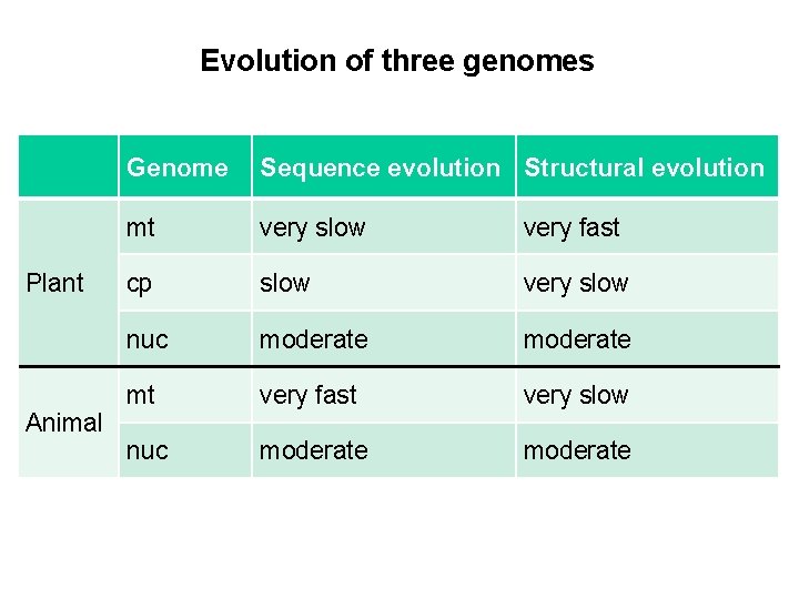Evolution of three genomes Plant Animal Genome Sequence evolution Structural evolution mt very slow
