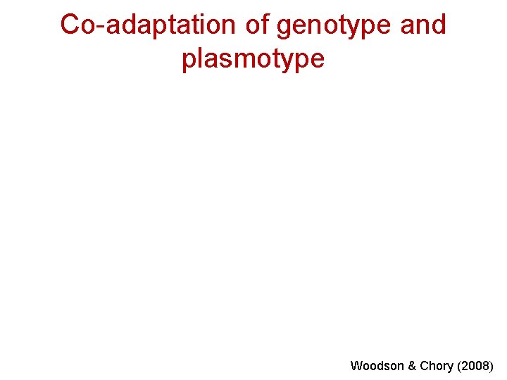 Co-adaptation of genotype and plasmotype Woodson & Chory (2008) 