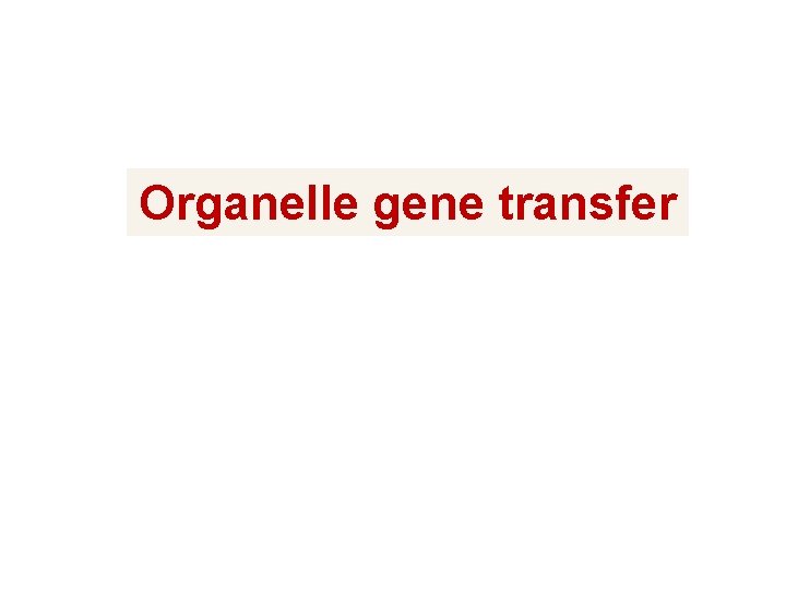 Organelle gene transfer 
