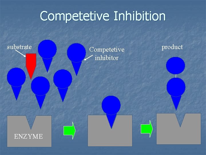 Competetive Inhibition substrate ENZYME Competetive inhibitor product 