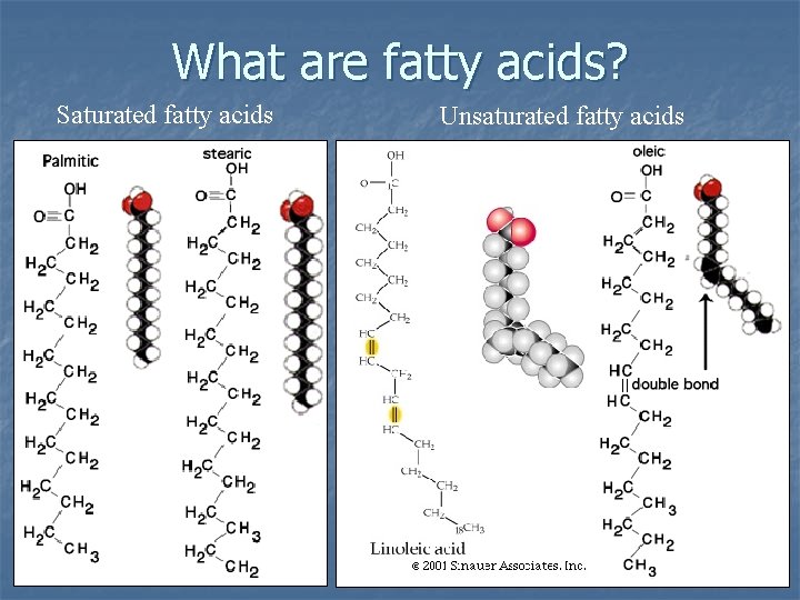 What are fatty acids? Saturated fatty acids Unsaturated fatty acids 