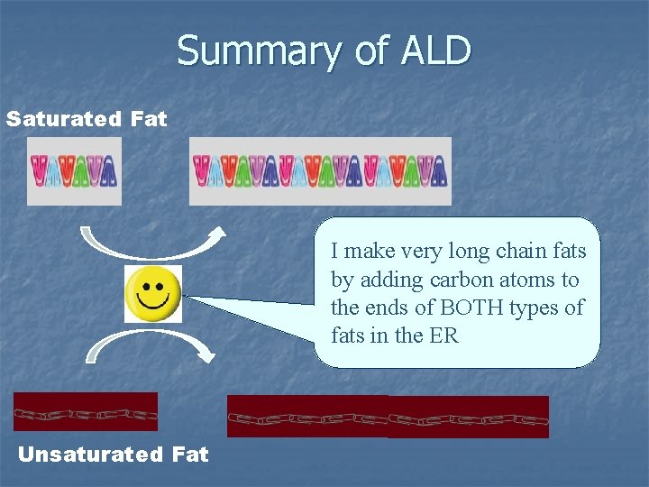 Summary of ALD Saturated Fat I make very long chain fats by adding carbon