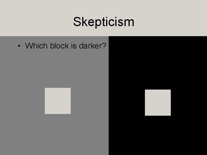 Skepticism • Which block is darker? 