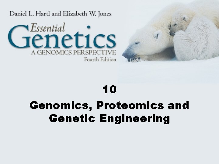 10 Genomics, Proteomics and Genetic Engineering 