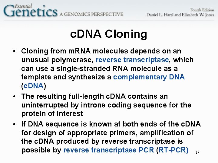 c. DNA Cloning • Cloning from m. RNA molecules depends on an unusual polymerase,