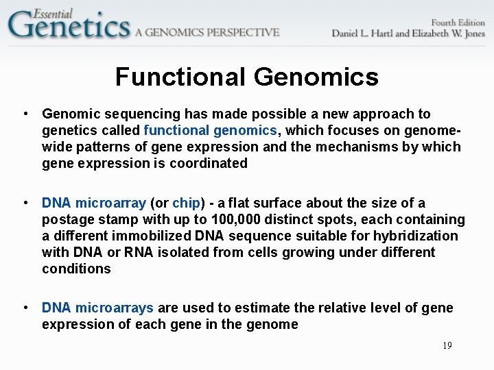 Functional Genomics • Genomic sequencing has made possible a new approach to genetics called