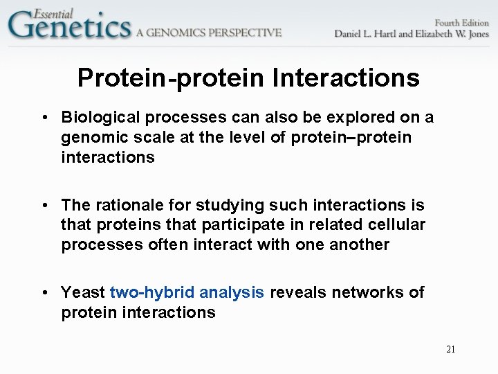 Protein-protein Interactions • Biological processes can also be explored on a genomic scale at