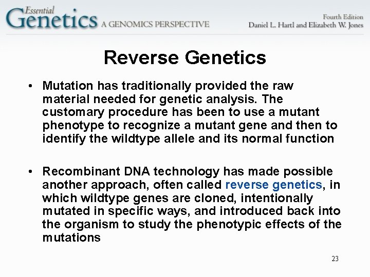 Reverse Genetics • Mutation has traditionally provided the raw material needed for genetic analysis.